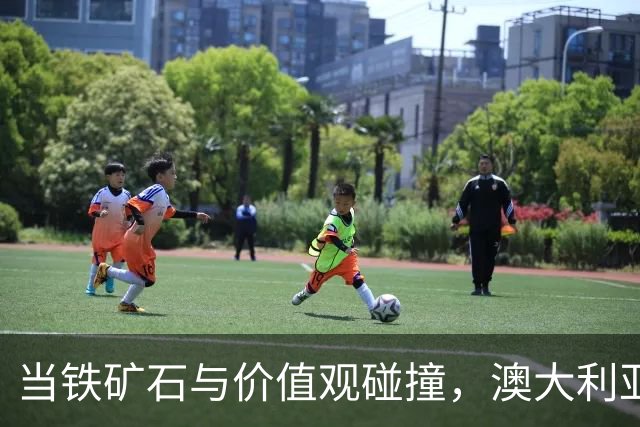 当铁矿石与价值观碰撞，澳大利亚的“硬嘴软心